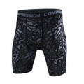 Sports Tights Shorts for Active Wear